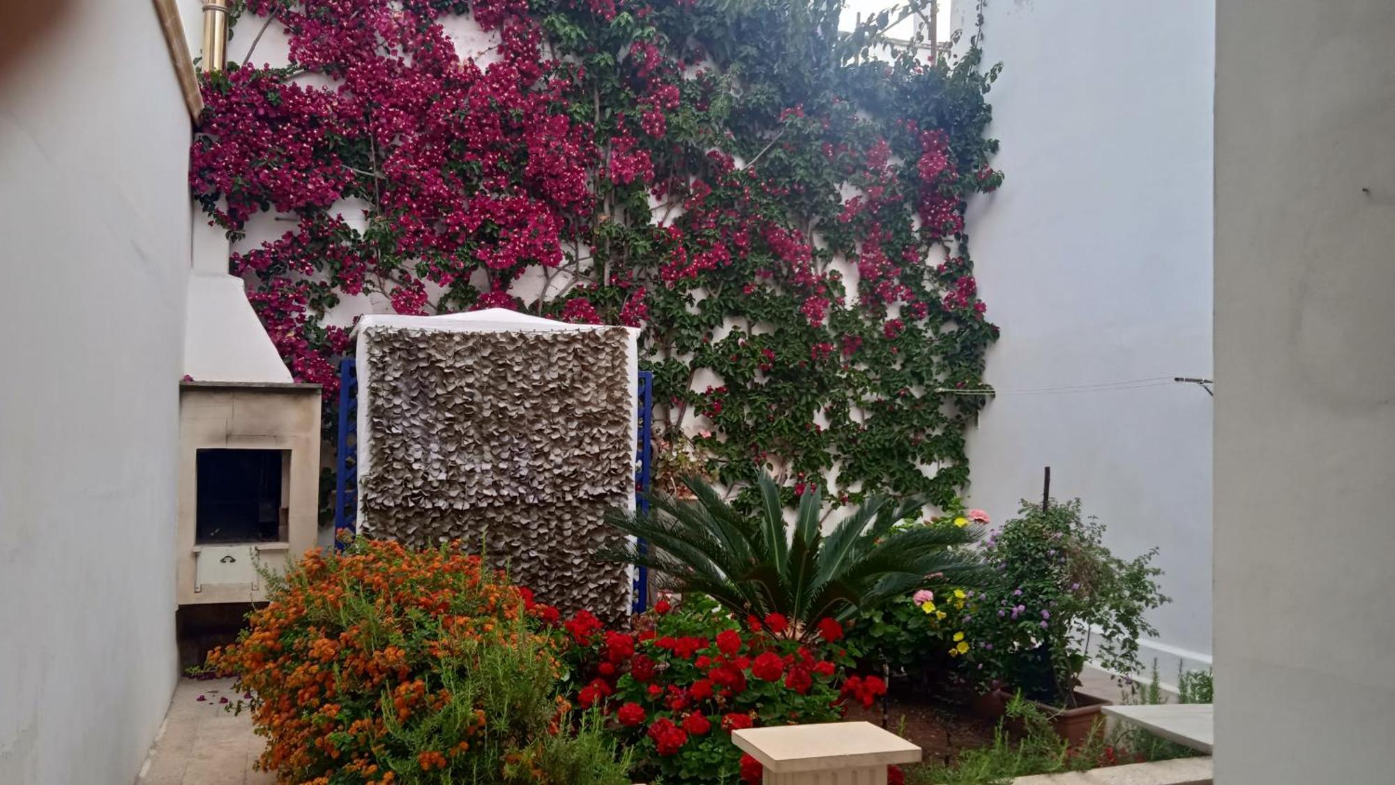 Casa A 30 M Dal Mare Vila Sant Isidoro  Exterior foto
