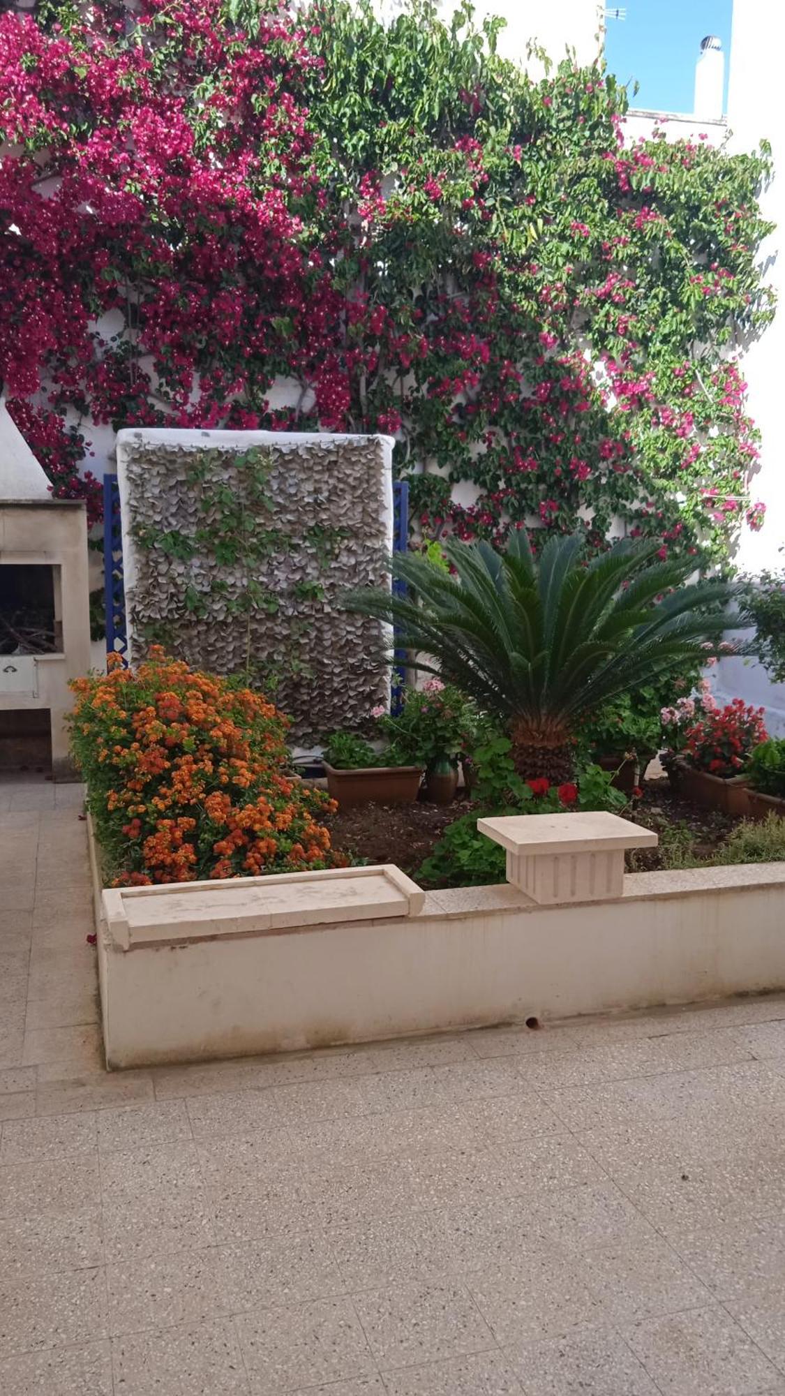 Casa A 30 M Dal Mare Vila Sant Isidoro  Exterior foto